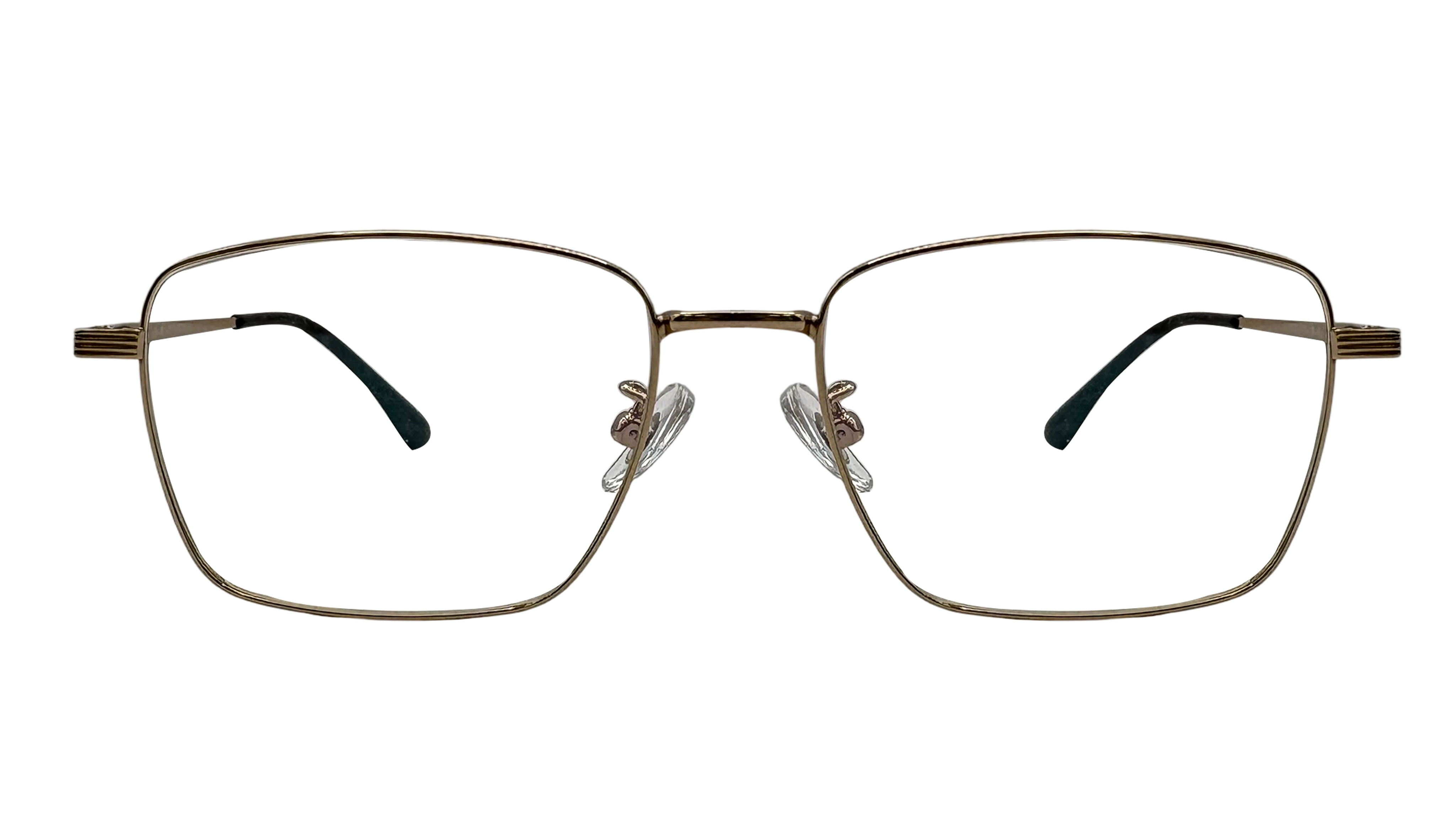 spectaclex. RS20131 C1